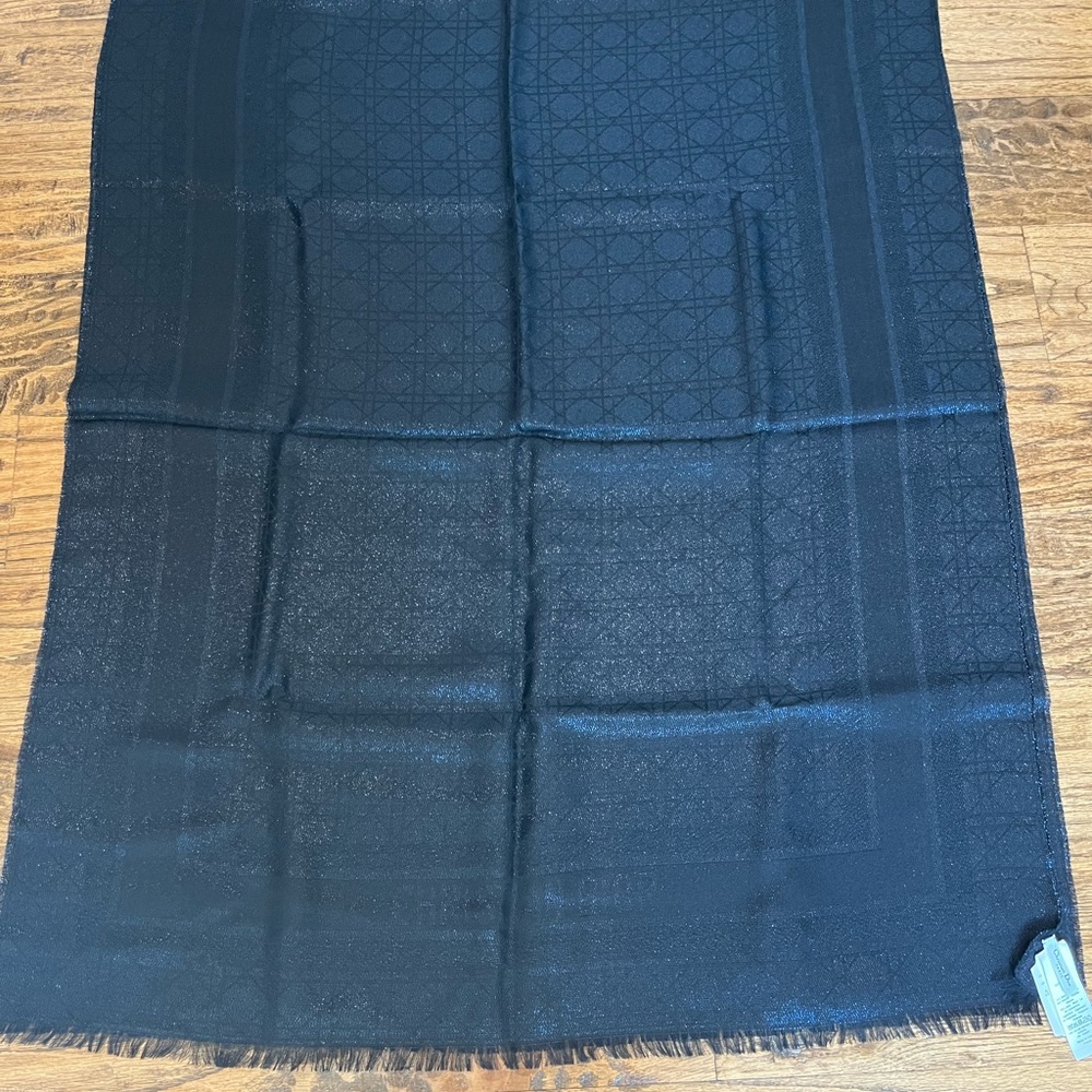 New Dior Scarf Stole - Picture 3 of 10